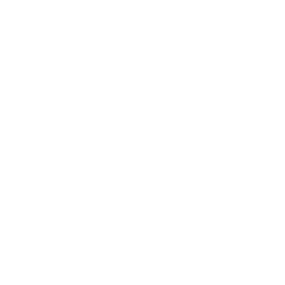 Custom AI Roadmap